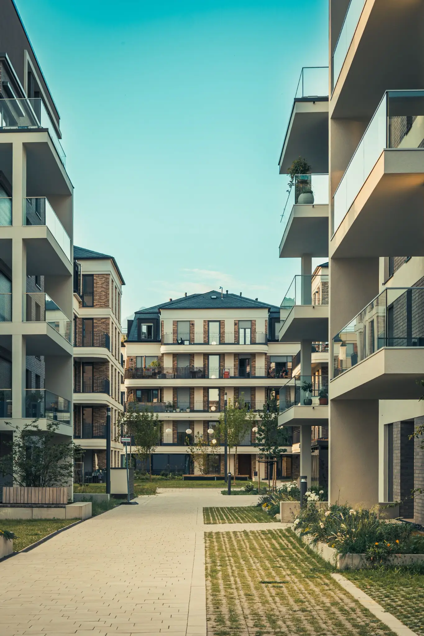 Residential courtyard with landscaped planting